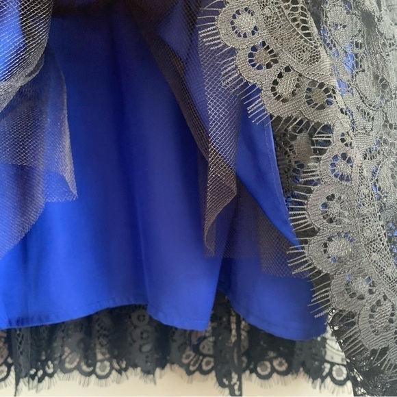 ANTHROPOLOGIE Moulinette Soeurs Royal Blue Lace Cottagecore Dress Size 4 - Picture 10 of 14